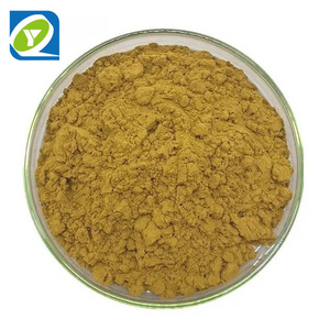 Natural Epimedium Extract Botanic Horny Goat Weed Powder Epimedium Extract Icariin