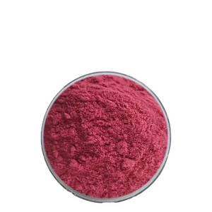 High quality freeze dried blackcurrant powder