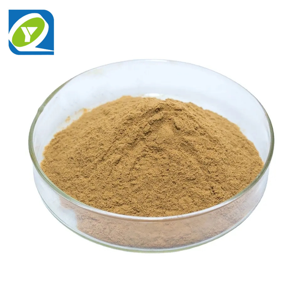 Natural Epimedium Extract Botanic Horny Goat Weed Powder Epimedium Extract Icariin