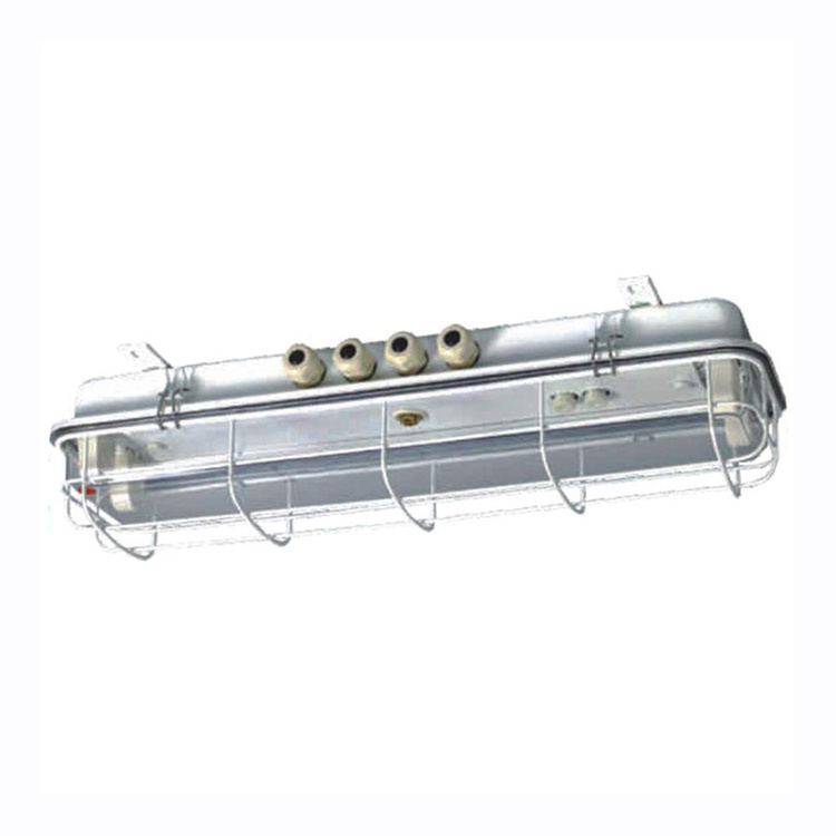 Waterproof 2*20w marine fluorescent light fixture with plastic cover and metal guard