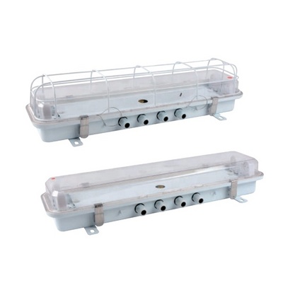 Waterproof 2 20w marine fluorescent light fixture with plastic cover and metal guard BestSuppliers