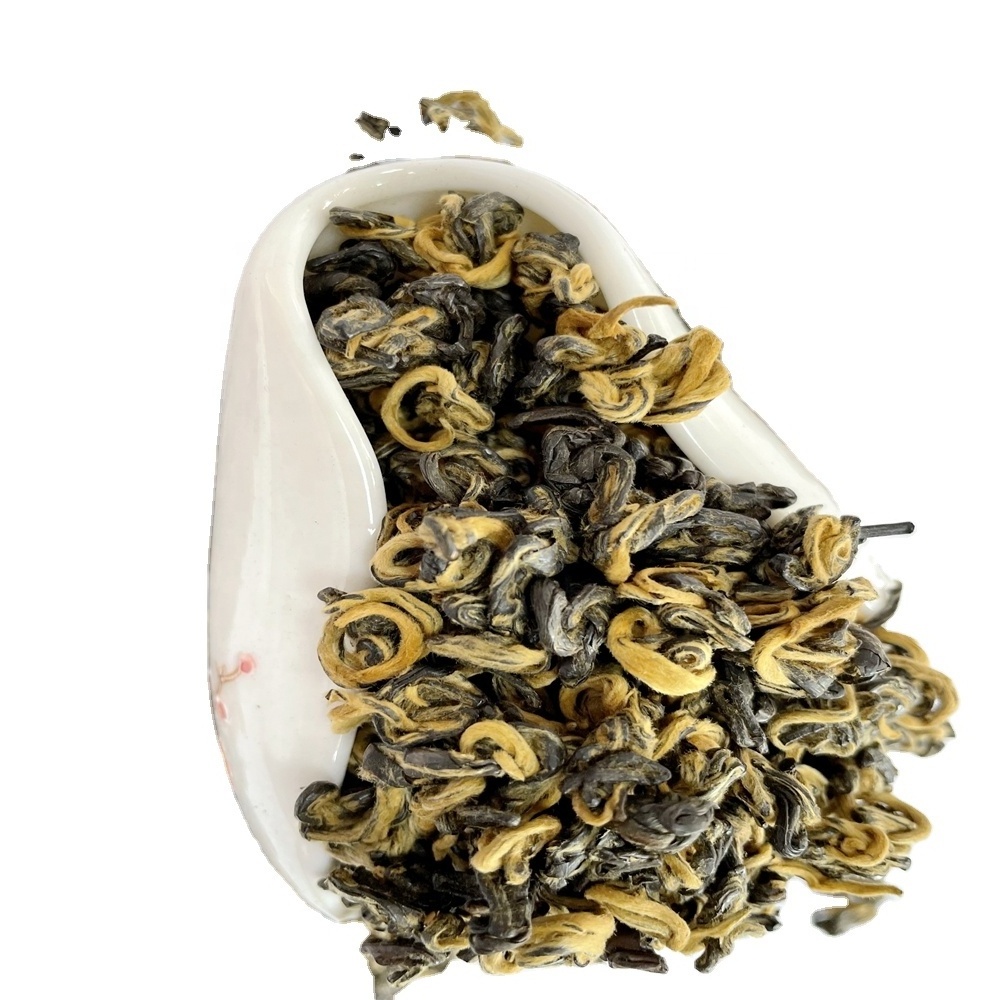 luxury grade China yunnan Black snail tea golden tips yunnan dian hong luo cha good tasty strong fragrance  lasting sweet taste