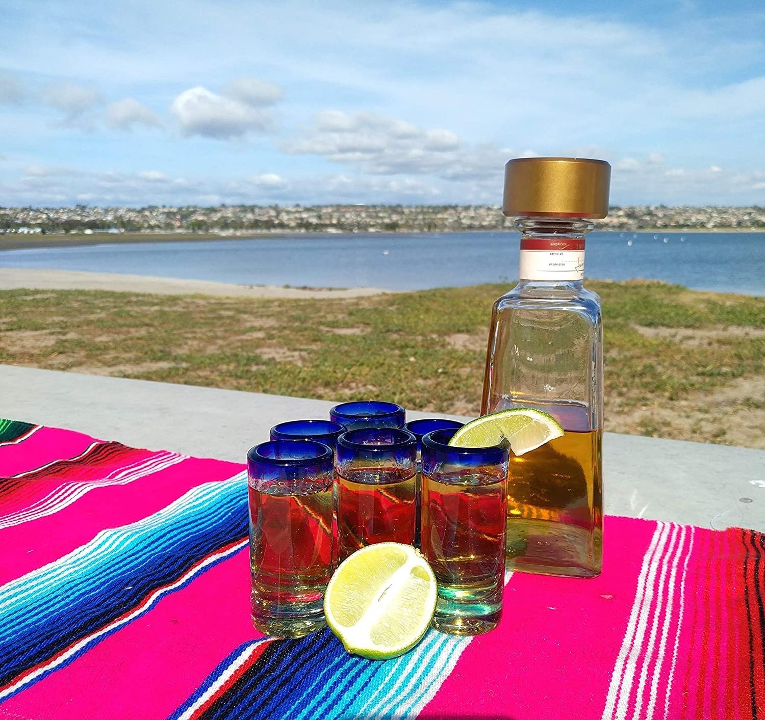 2 Oz Hand Blown Mexican Tequila Shot Glasses Cobalt Blue Rim Tequila Shot Glasses