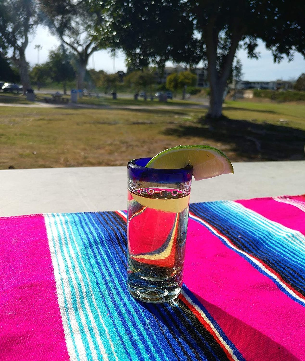 2 Oz Hand Blown Mexican Tequila Shot Glasses Cobalt Blue Rim Tequila Shot Glasses