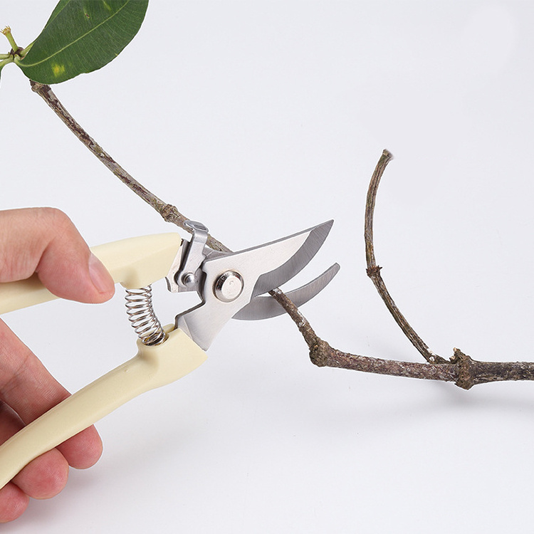 Tree trimming bonsai gardening plant scissors fruit picking scissors pruning scissors