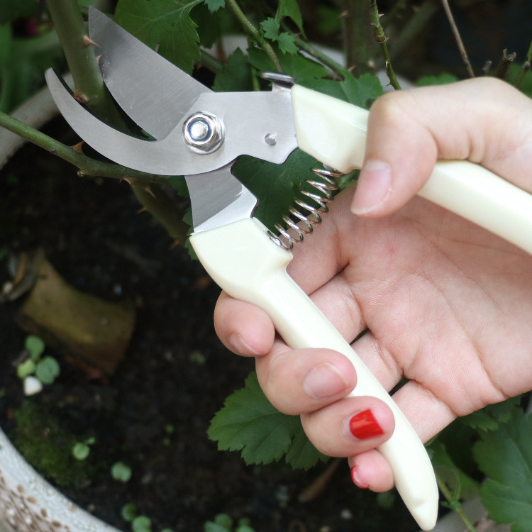 Tree trimming bonsai gardening plant scissors fruit picking scissors pruning scissors