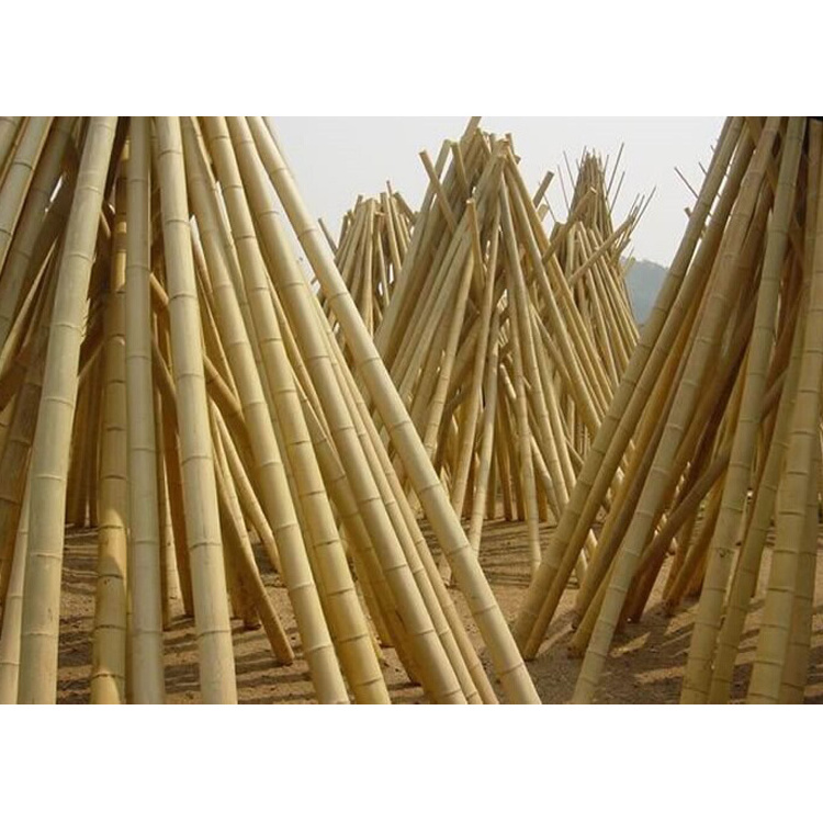 bamboo poles lowes