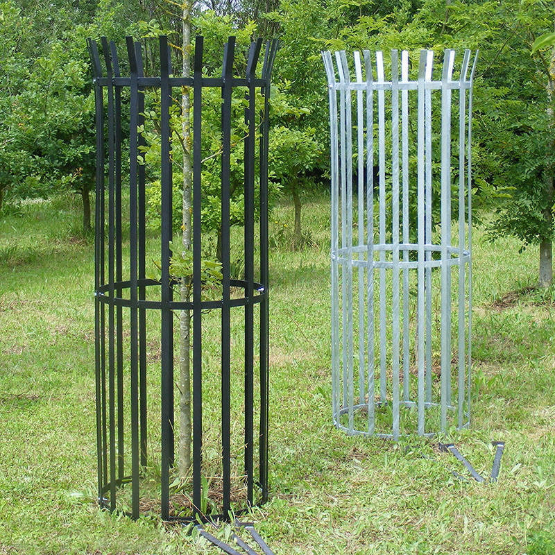 Cheap Powder coated metal tree guard