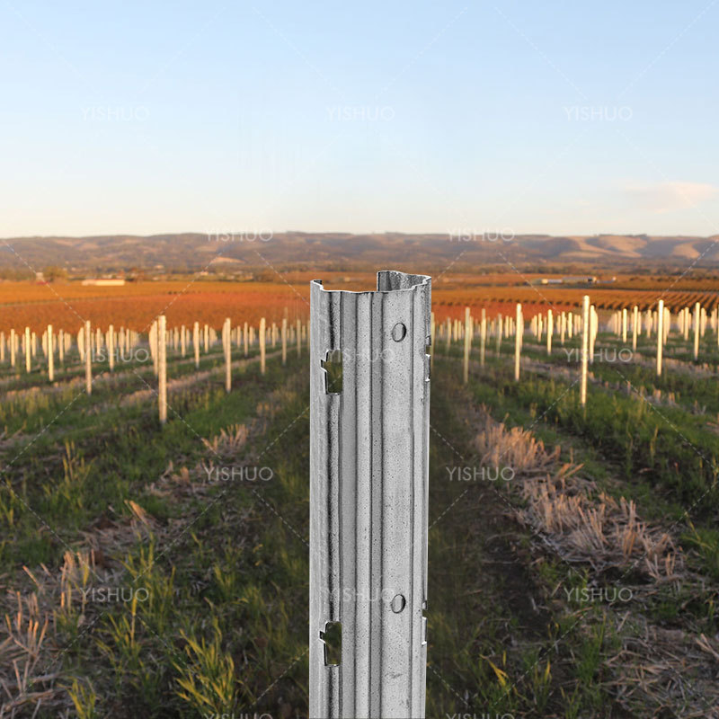 Hot Sale Galvanized Grape Vineyard Post Steel Pole Post for Vineyard Trellis