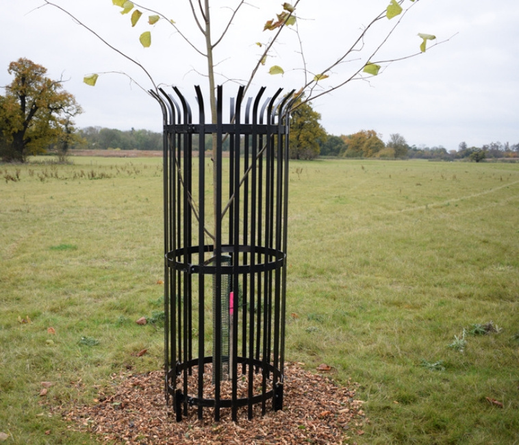 Wholesale Metal Corflute Tree Guard Fence with Powder Coated