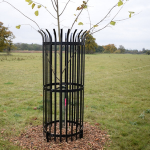 Wholesale Metal Corflute Tree Guard Fence with Powder Coated