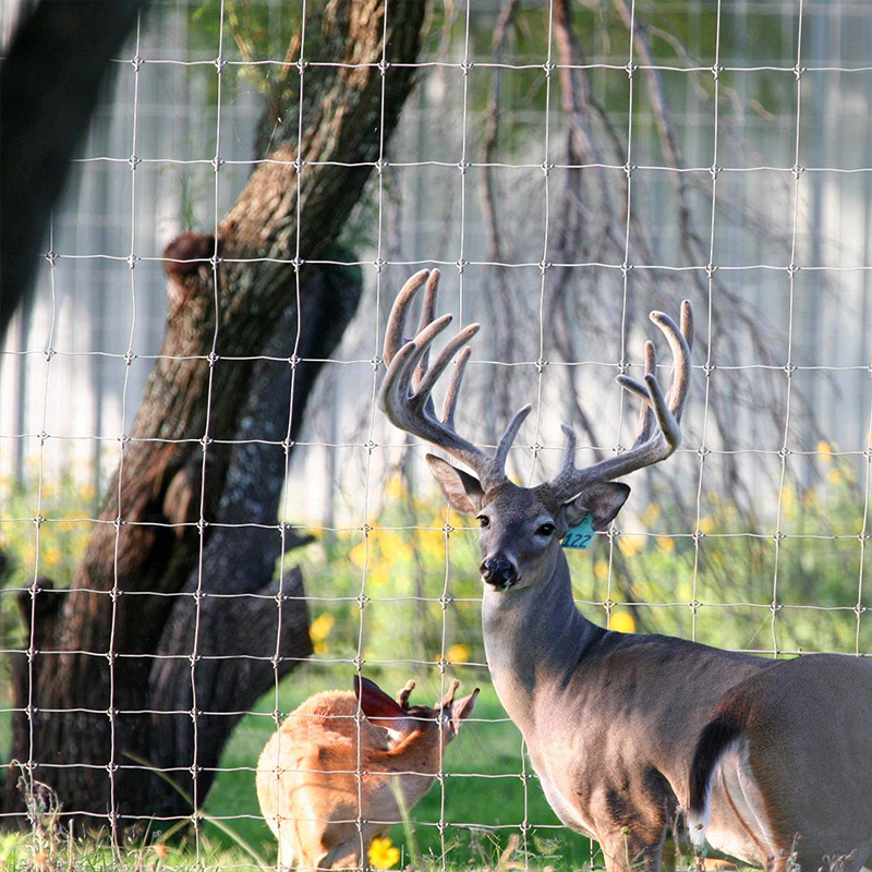 High tensile cheap galvanized veldspan field fence/farm fence hog farm fence wire for livestock