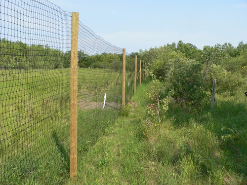 Professional high tensile plastic agriculture deer fence net for farm and garden