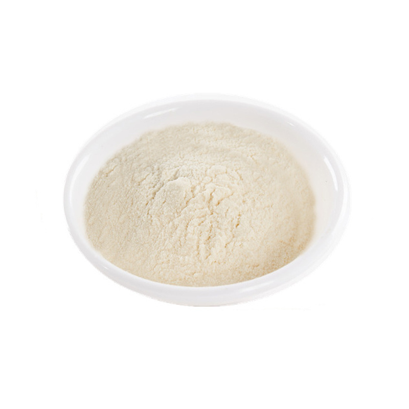 Wholesale Price Protin Bodybuilding Supplements Whey Protein Isolate Powder