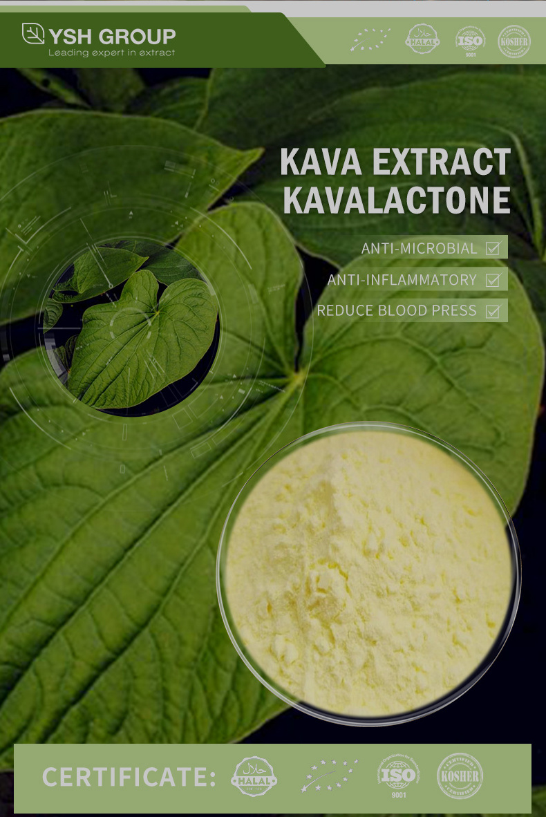 supply kava extract powder 30% kavalactones kavalactones 30% kava root extract kava extract