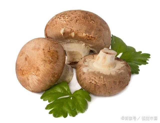 Organic Shiitake Mushroom Extract Polysaccharides Natural 10:1 20:1 Shiitake Mushroom Extract Powder