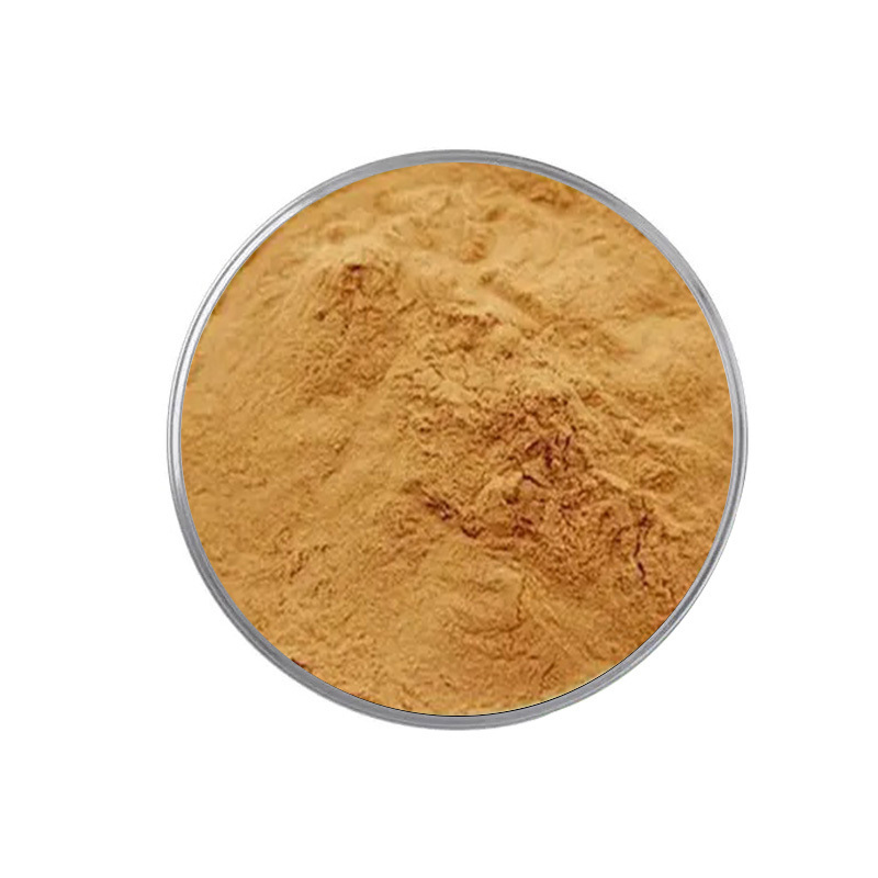 Organic Shiitake Mushroom Extract Polysaccharides Natural 10:1 20:1 Shiitake Mushroom Extract Powder