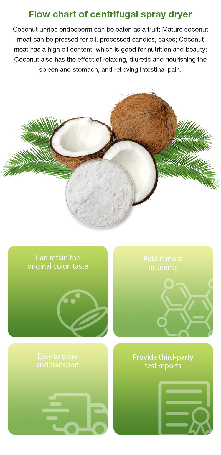 Wholesale Organic High-quality Natural Coconut Water Powder Bulk Coconut Milk Powder