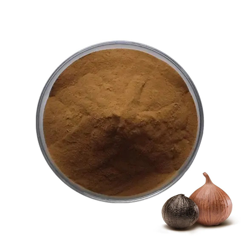 Black Garlic Seeds Polyphenol Powder Wholesale Price Black Garlic Extract Powder