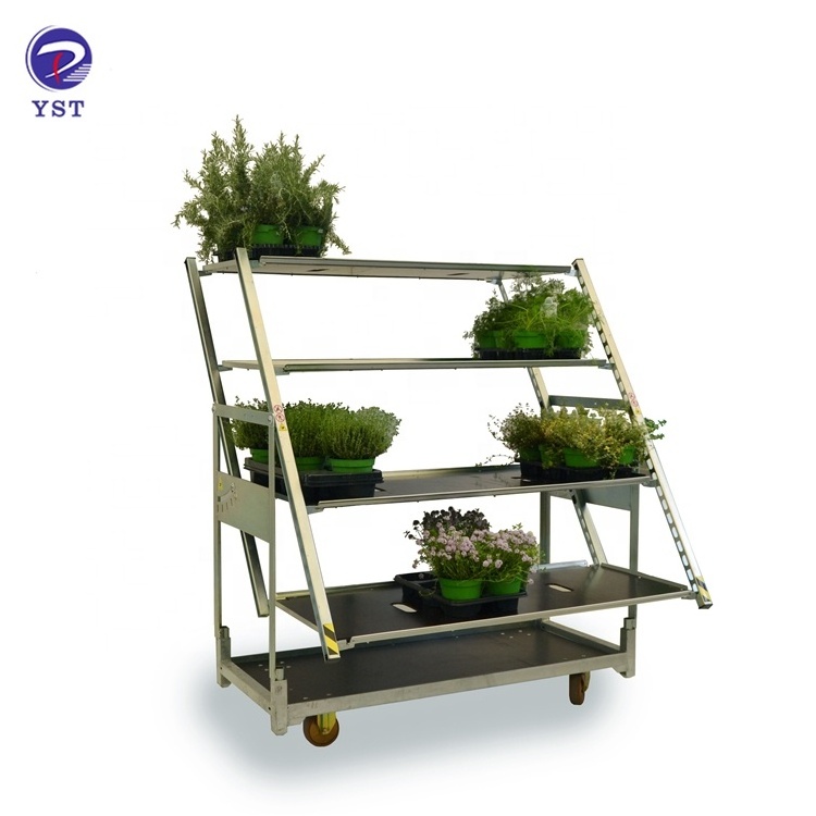 Factory price greenhouse shipping plant nursery steel flower display cart