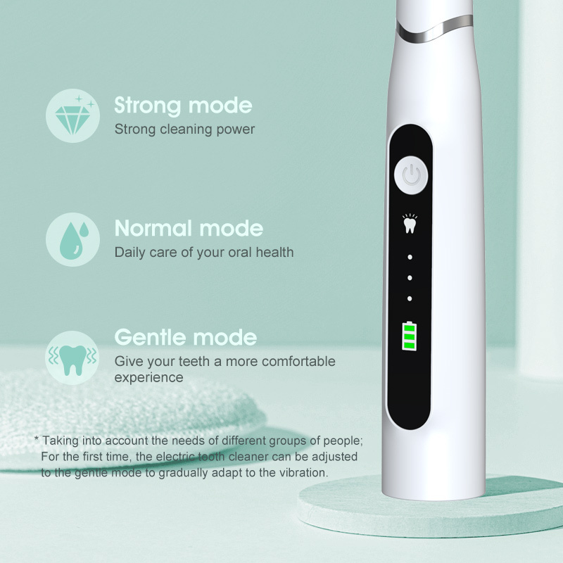 Ultrasonic Plaque Remover Household Tooth Cleaner Dental Waterproof Rechargeable Electric Teeth Cleaning Kit Dental Tools