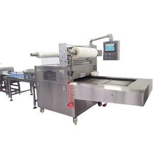 High quality Automatic Modified Atmosphere vacuum sealing and packaging machine with nitrogen gas filling