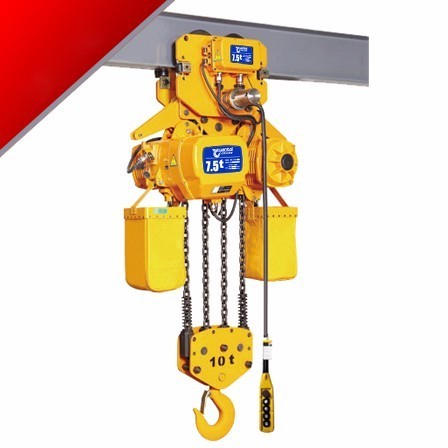 120 Volt 1 1.5 2 3 5 Ton Electric Chain Host Construction Hoist Trolley Type/ Fixed Type Pendant Control/remote Control Yuantai