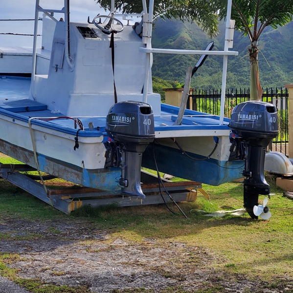 YAMABISI T40 703cc Displacement 2 Stroke Boat Sailing Engine 40HP 29.4Kw Outboard Motor