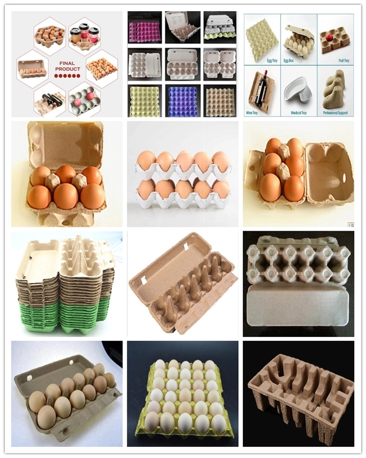 New Automatic Egg Carton Making Machine Paper Egg Tray Machine Pulp Molding Machine Top Selling Products in Kenya Rotary Forming