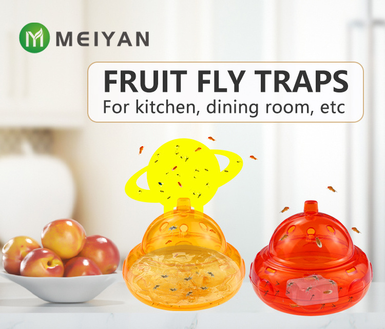 Indoor Use Fly Catcher Effective Fruit Fly Trap and Gnat Trap for Kitchen