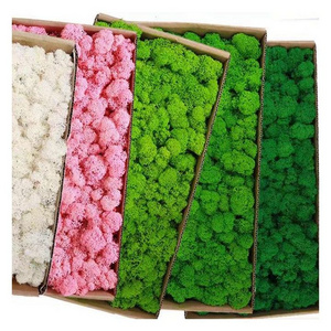 Natural Eco-friendly Reindeer Moss Wall Decoration Natural Preserved Moss  For Wall Decor