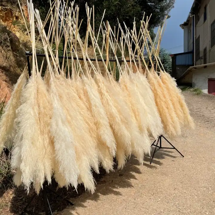 Natural Wedding Decoration Faux Pampas Boho Style Large Fluffy Grey Beige Artificial Dried Pampas Grass For Sale