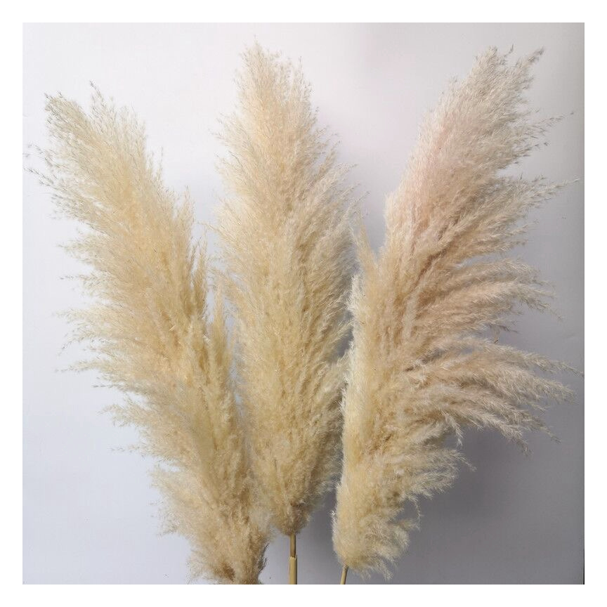 Natural Wedding Decoration Faux Pampas Boho Style Large Fluffy Grey Beige Artificial Dried Pampas Grass For Sale