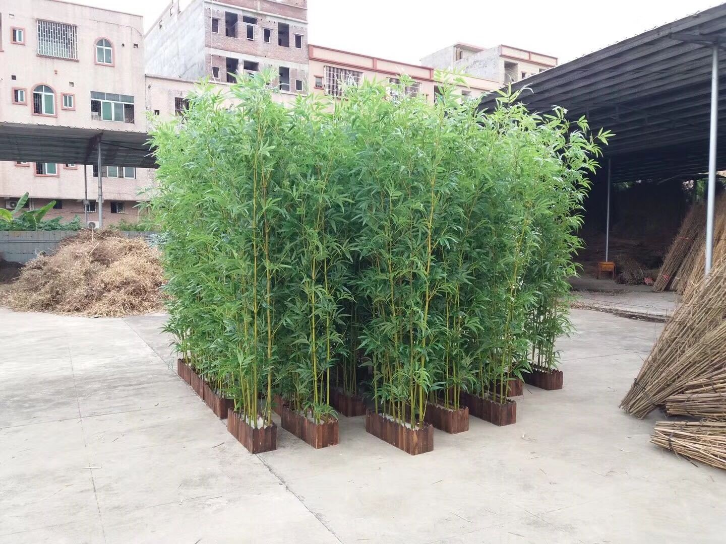 1.5M All-Plastic Taiwan Bamboo Branch Bamboo Tree Artificial Greening Plant Nursery Pot Decorative Tree