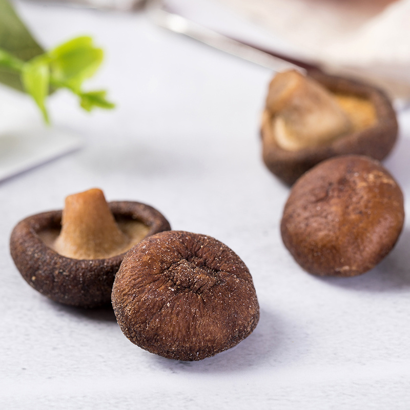 Best Price New Stock Arrival Dried Mushroom Bulk Dried Shiitake Mushrooms