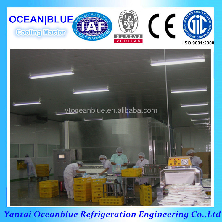 IQF Quick freezing Refrigeration Machine