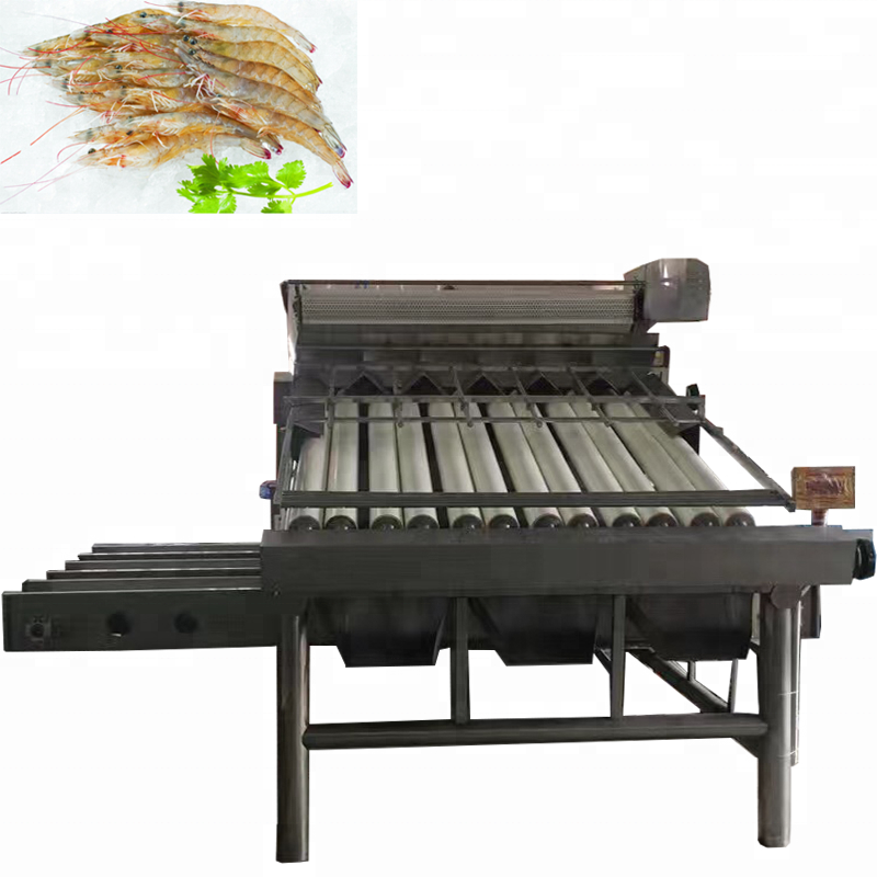 Factory shrimp processing line / Shrimp grading washing machine