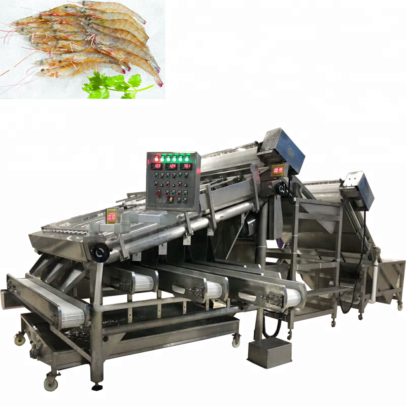 Factory shrimp processing line / Shrimp grading washing machine