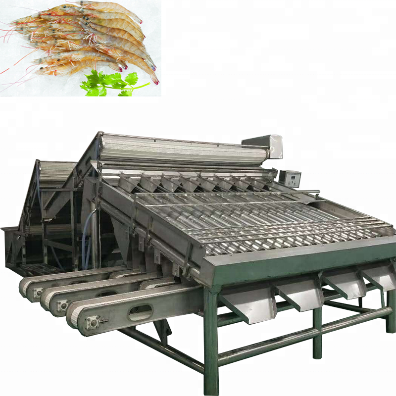 Factory shrimp processing line / Shrimp grading washing machine