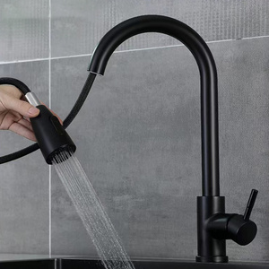 Modern Silver Black Stainless Steel Flexible Pull Out Down Kitchen Mixer Tap Sink Faucet