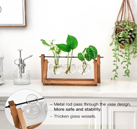 Desktop Propagation Station, Plant Terrarium, Plant Lover Gifts for Women for Hydroponics Plants Home Garden Wedding Decor