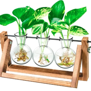 Desktop Propagation Station, Plant Terrarium, Plant Lover Gifts for Women for Hydroponics Plants Home Garden Wedding Decor