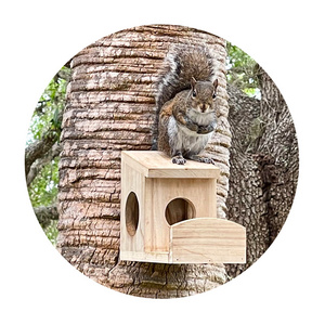 Weather-resistant Bamboo Wooden Hanging Squirrel or Bird Feeder