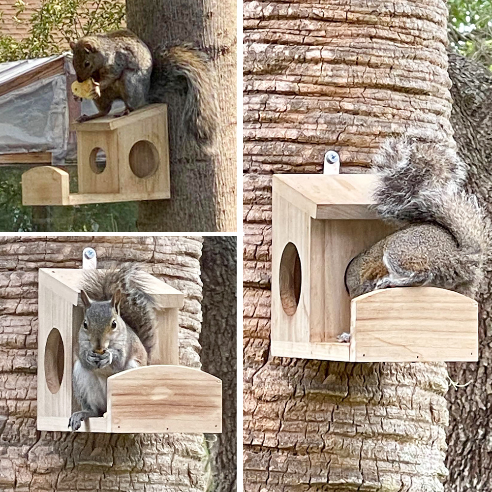 Weather-resistant Bamboo Wooden Hanging Squirrel or Bird Feeder