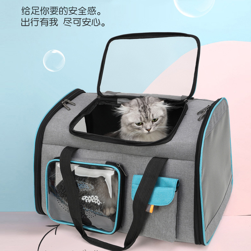 Best Sell Breathable Transparent Pet Cat Dog Travel Carrier Carrying Basket Backpacks