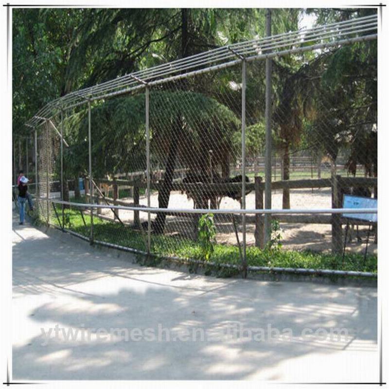 Free Shipping Excellent Flexibility Stainless Steel Zoo Bird Aviary Netting Wire Rope Knitted Mesh Panel For Handrail