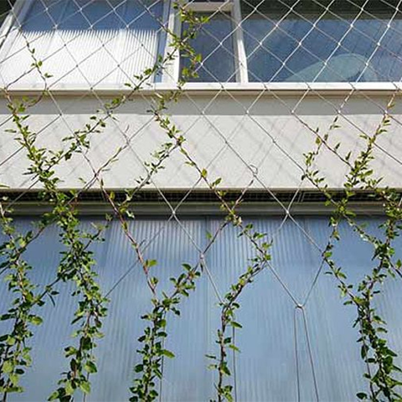 Stainless Steel Wire Rope Mesh 100*100mm Cable Mesh Green Plant Climbing Trellis Wall Mesh For Garden