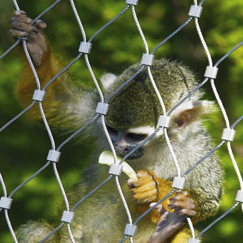 Original Visibility Bird Aviary Panel For Wild Park Stainless Steel Zoo Enclosure