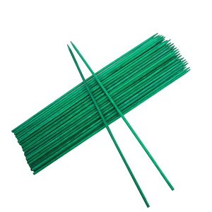 Amazon hot sale green plant support stakes bamboo color sticks  to support the growing plants with custom plants tag