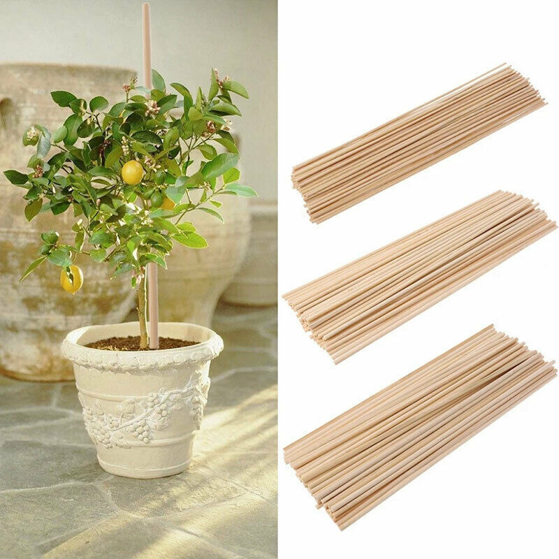 Bamboo Wooden Flower Plant Support Pole Stake Stick 10-90cm Length Wholesale bamboo raw materials